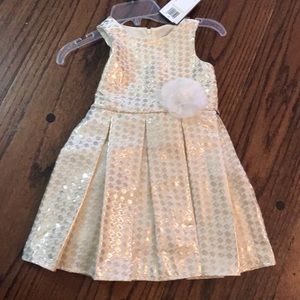 NWT Dorissa gold and ivory dress. Sz 4